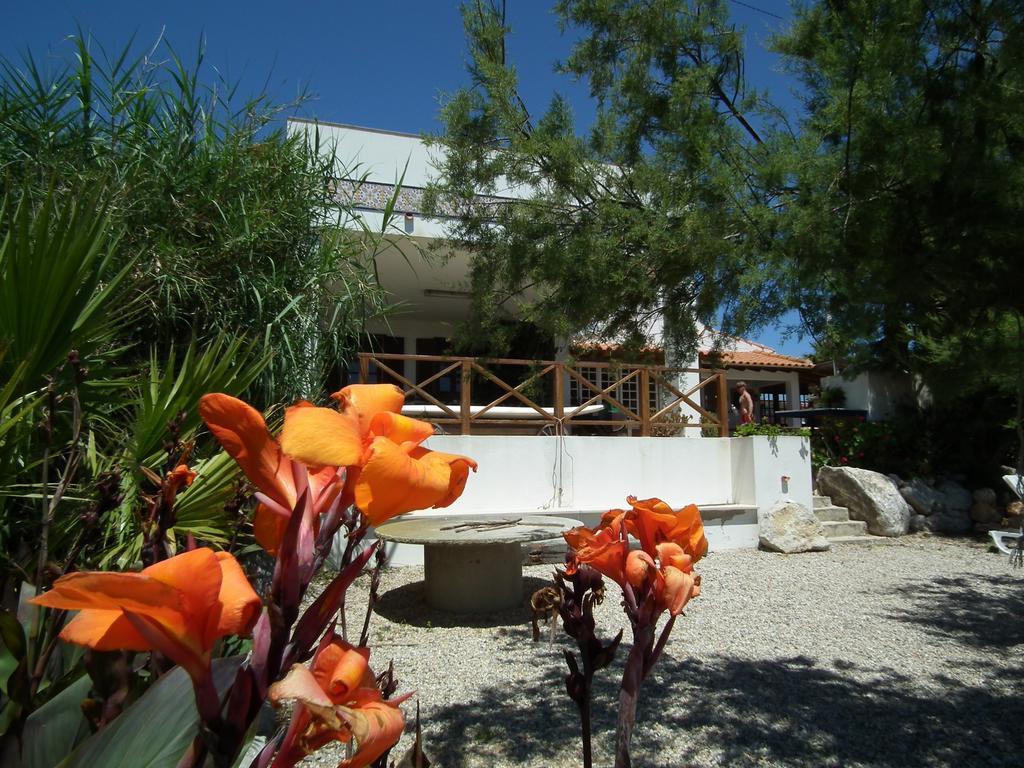 Da Silva Surfcamp Hostel อารีอา บรันกา ภายนอก รูปภาพ